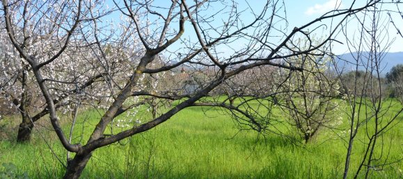 3 bedrooms House in San Polo dei Cavalieri, Italy No. 161631 44