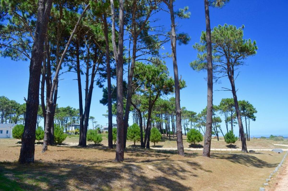 Grundstück in Maldonado, Uruguay, Nr. 14592