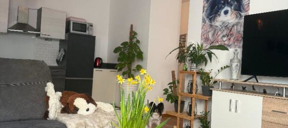 2 rooms Apartment in Pfaffenhofen, Austria No. 169048 4