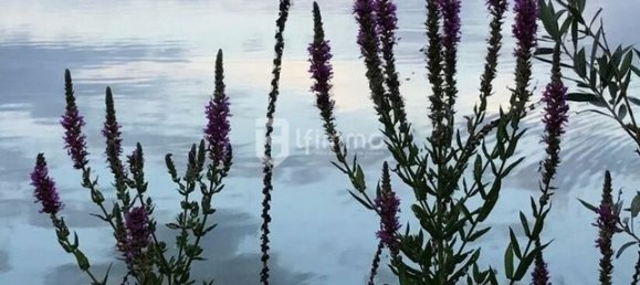 Casa T5 em Villiers-sur-Loir, France N.º 332941 14