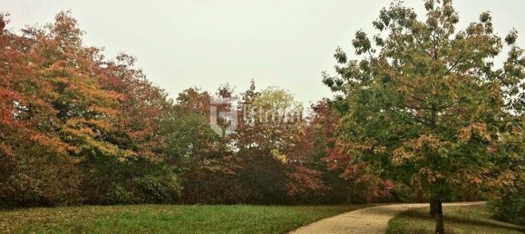 Casa T5 em Villiers-sur-Loir, France N.º 332941 13