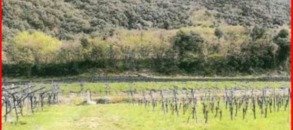 Terreno en Dolcè, Italy 22231 m² No. 306831 3