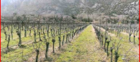 Terreno en Dolcè, Italy 22231 m² No. 306831 8