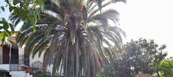 10 bedrooms House in Padul, Spain No. 170003 3