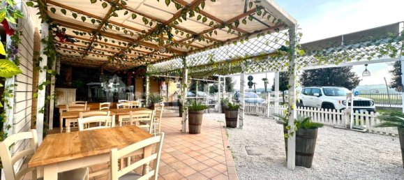 3 rooms Commercial property in Porto Recanati, Italy No. 149333 6