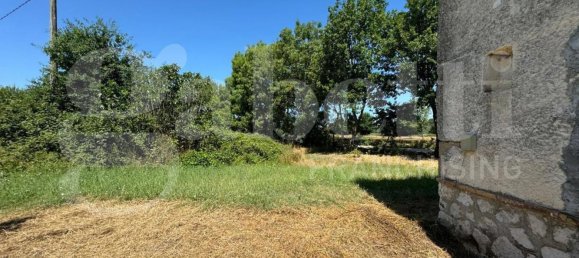 49731m² Land in Baia e Latina, Italy No. 170819 8