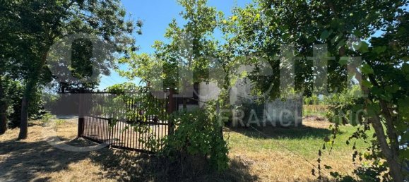 49731m² Land in Baia e Latina, Italy No. 170819 9