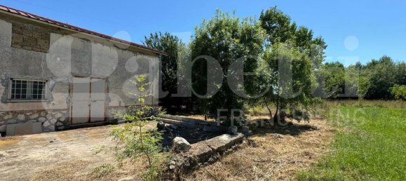 49731m² Land in Baia e Latina, Italy No. 170819 12