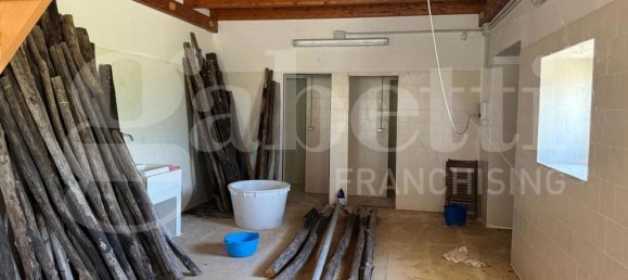 49731m² Land in Baia e Latina, Italy No. 170819 13