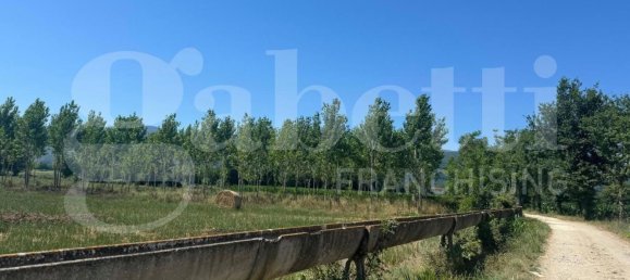 49731m² Land in Baia e Latina, Italy No. 170819 6