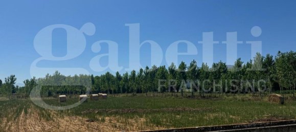49731m² Land in Baia e Latina, Italy No. 170819 2
