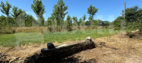 49731m² Land in Baia e Latina, Italy No. 170819 5