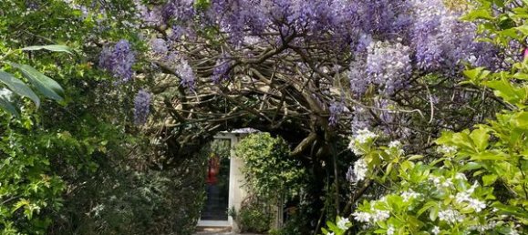 4 bedrooms House in La Celle-Saint-Cloud, France No. 322199 2