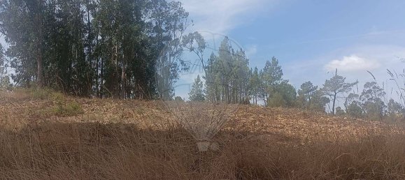 Grundstück in Rio Maior, Portugal, Nr. 332746 8