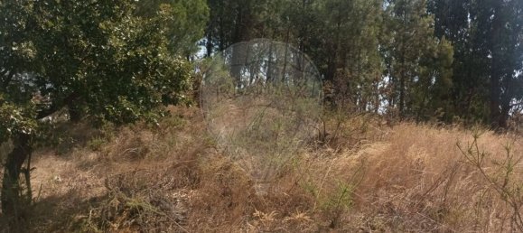 Grundstück in Rio Maior, Portugal, Nr. 332746 10