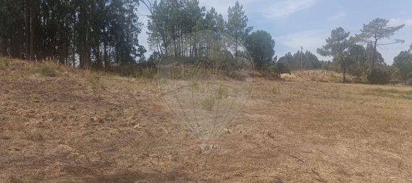 Grundstück in Rio Maior, Portugal, Nr. 332746 6