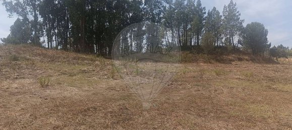 Grundstück in Rio Maior, Portugal, Nr. 332746 15