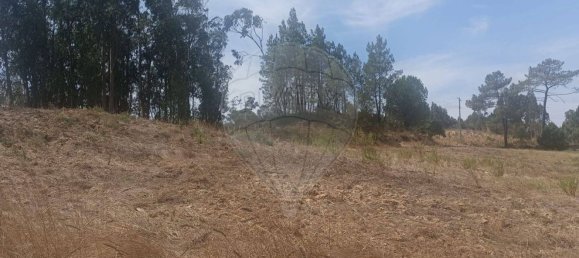 Grundstück in Rio Maior, Portugal, Nr. 332746 12