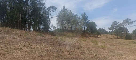 Grundstück in Rio Maior, Portugal, Nr. 332746 7