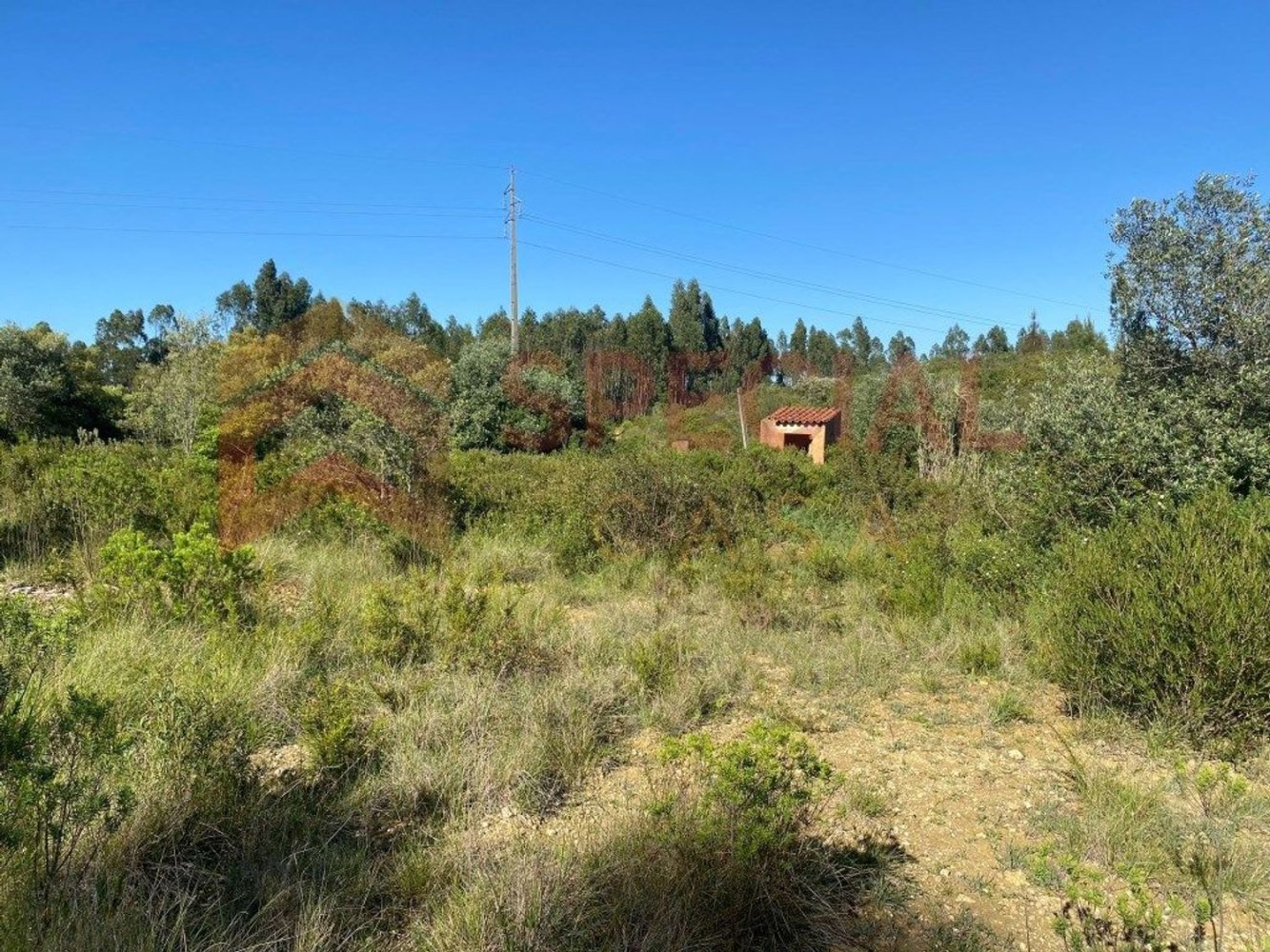  Land in Tomar, Portugal No. 333044