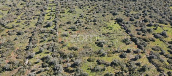 قطعة أرض في Sao Bartolomeu de Messines, Portugal 23960متر مربع رقم 69490 5