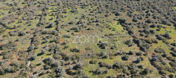 قطعة أرض في Sao Bartolomeu de Messines, Portugal 23960متر مربع رقم 69490 9