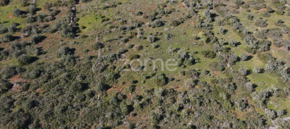 قطعة أرض في Sao Bartolomeu de Messines, Portugal 23960متر مربع رقم 69490 2