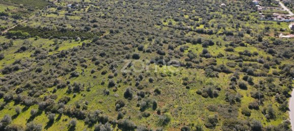 قطعة أرض في Sao Bartolomeu de Messines, Portugal 23960متر مربع رقم 69490 13