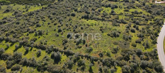 قطعة أرض في Sao Bartolomeu de Messines, Portugal 23960متر مربع رقم 69490 16