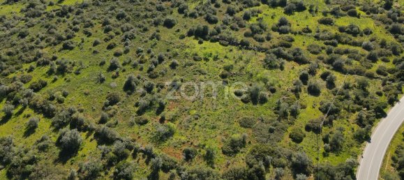 قطعة أرض في Sao Bartolomeu de Messines, Portugal 23960متر مربع رقم 69490 12