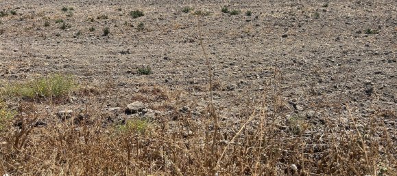 3 chambres Villa à Polop, Spain No. 168249 6