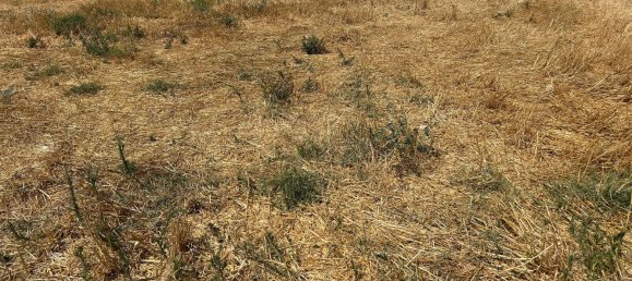 3 chambres Villa à Polop, Spain No. 168249 3