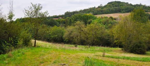 15-Zimmer Haus in Moncalieri, Italy, Nr. 102352 3