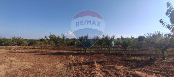 3-Zimmer Haus in Laterza, Italy, Nr. 308716 10