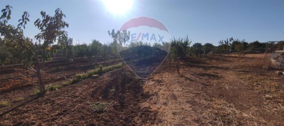 3-Zimmer Haus in Laterza, Italy, Nr. 308716 9