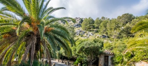 11 bedrooms House in Pollenca, Spain No. 30660 17