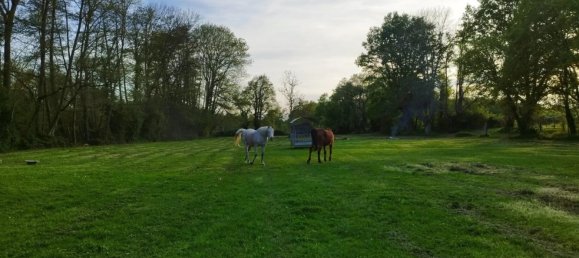 Дом с 4 спальнями в Сансер, Франция № 152053 6