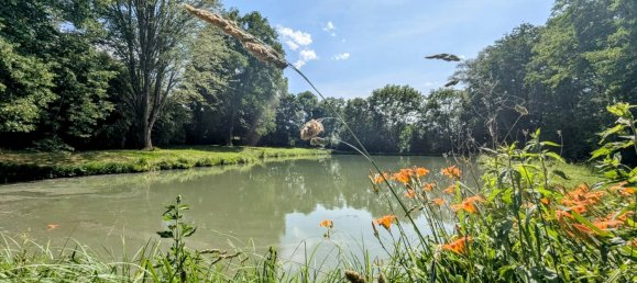 Дом с 4 спальнями в Сансер, Франция № 152053 8