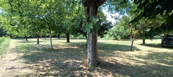 4 rooms House in Cologna Veneta, Italy No. 281631 9