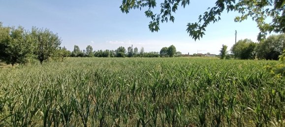 4 rooms House in Cologna Veneta, Italy No. 281631 11