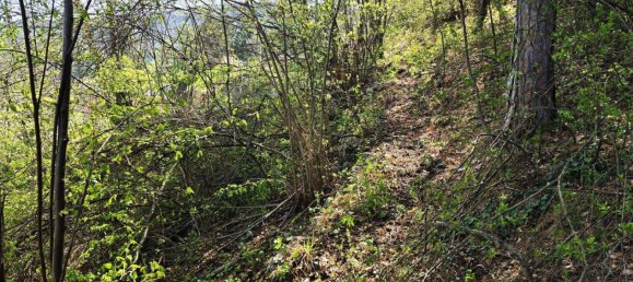 Terreno en Ternitz, Austria 1019 m² No. 163455 5