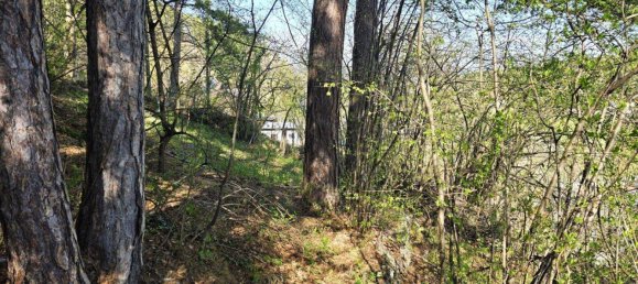 Terreno en Ternitz, Austria 1019 m² No. 163455 4