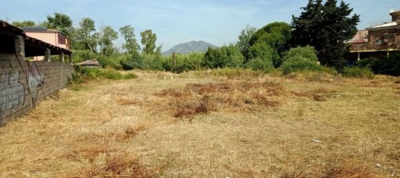 3223m² Land in Olbia, Italy No. 256312 6