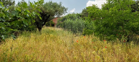 2 Schlafzimmer Haus in Abiul, Portugal, Nr. 26262 33