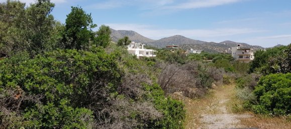 6000m² Hotel in Agios Nikolaos, Greece No. 4921 2