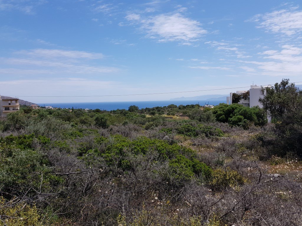 6000m² Hotel in Agios Nikolaos, Greece No. 4921