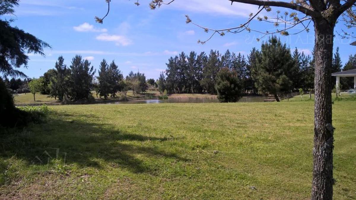  Land in Tigre, Argentina No. 42286