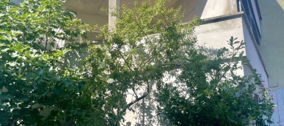 1 Schlafzimmer Wohnung in Theding, France, Nr. 253385 7