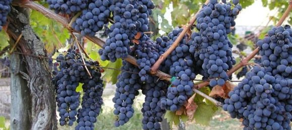 16-salle Maison à Bucine, Italy No. 121512 4