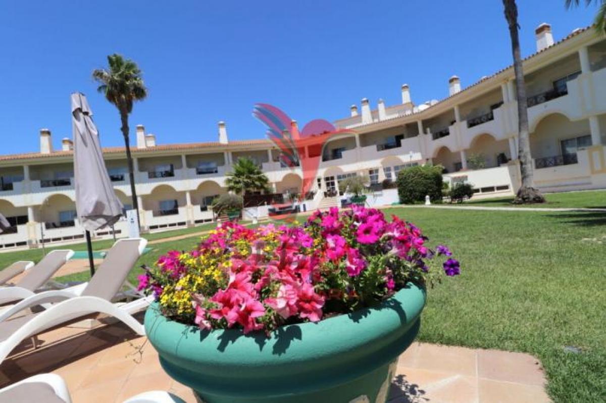 استوديو في Olhao, Portugal رقم 976